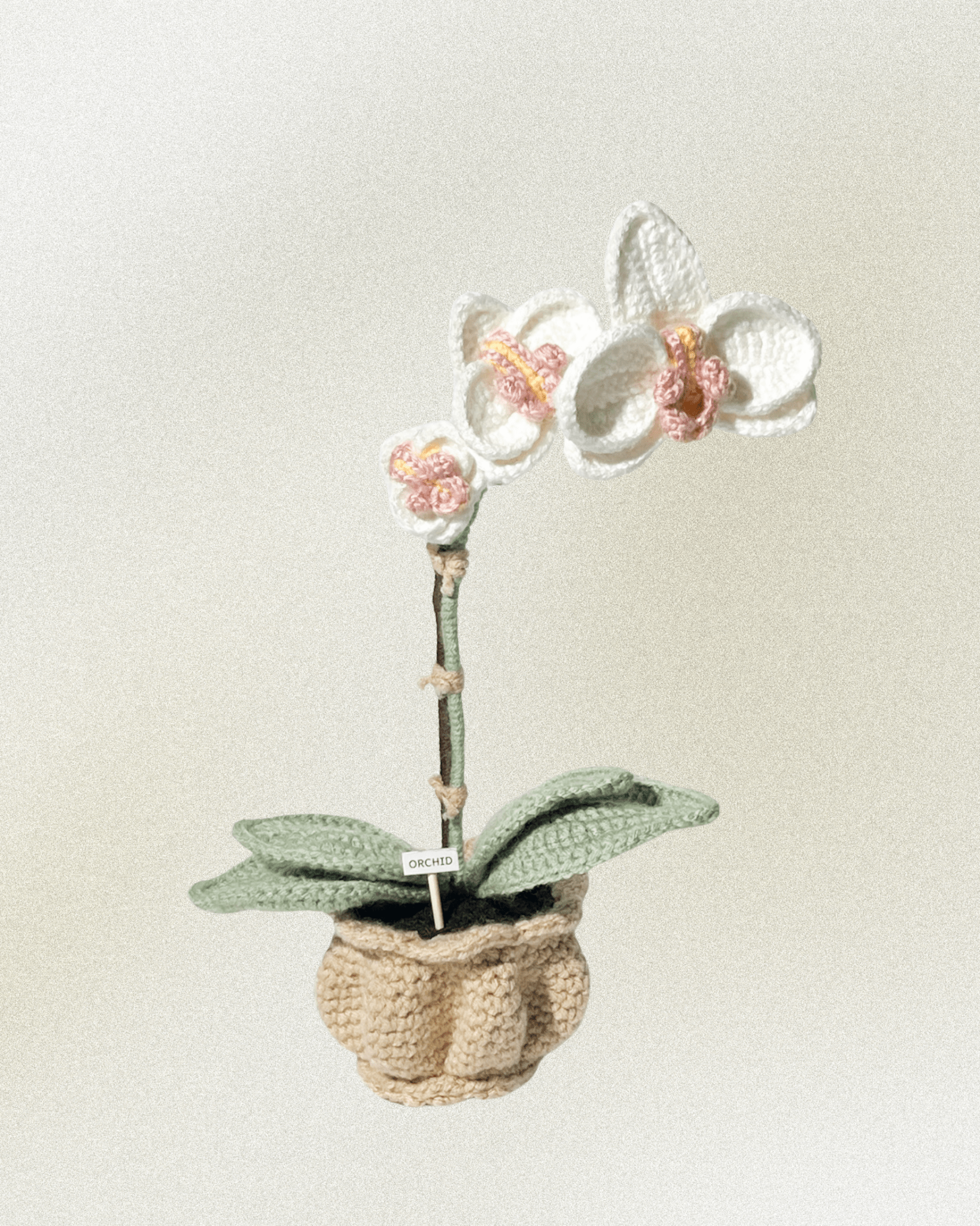 Forever Crochet Flower Pot - Devine FlameFFP - 24