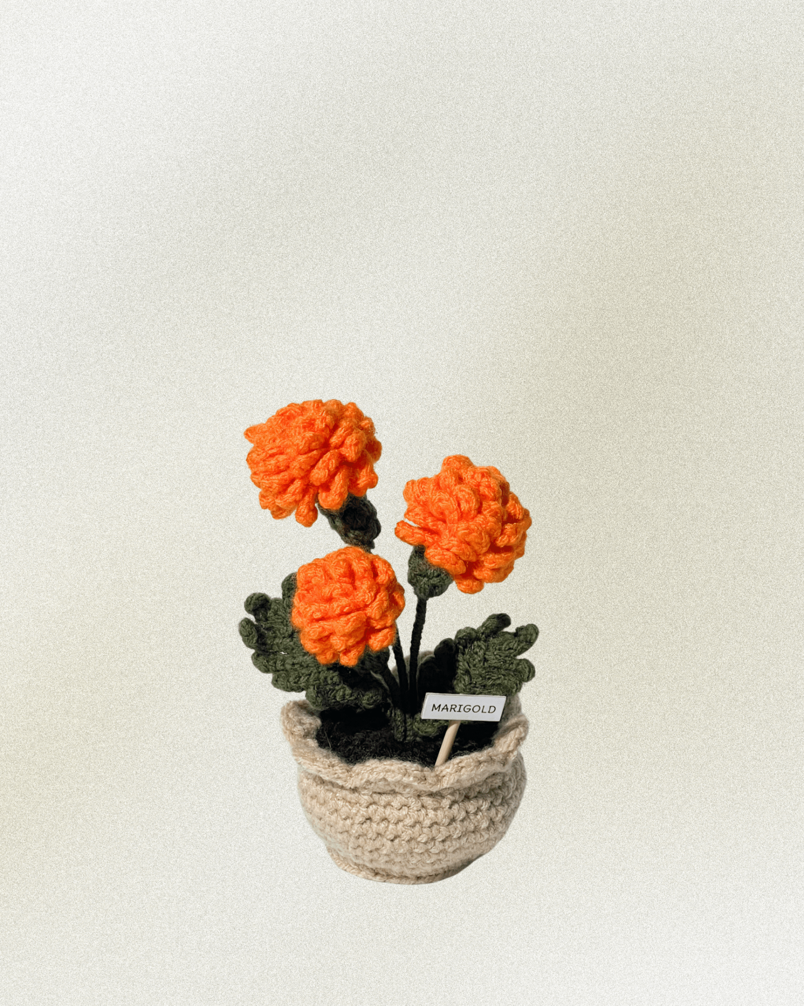 Forever Crochet Flower Pot - Devine FlameFFP - 8