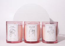 Load image into Gallery viewer, Aphrodite - Black Currant &amp; Jasmine - Devine Flame
