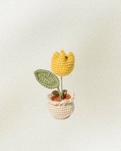 Load image into Gallery viewer, Forever Crochet Flower Pot - Devine FlameFFP - 15
