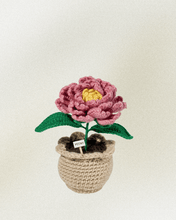Load image into Gallery viewer, Forever Crochet Flower Pot - Devine FlameFFP - 20
