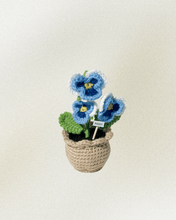 Load image into Gallery viewer, Forever Crochet Flower Pot - Devine FlameFFP - 19
