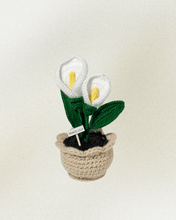 Load image into Gallery viewer, Forever Crochet Flower Pot - Devine FlameFFP - 18
