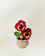 Load image into Gallery viewer, Forever Crochet Flower Pot - Devine FlameFFP - 9
