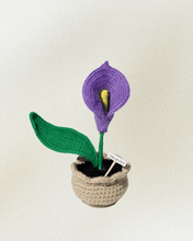 Load image into Gallery viewer, Forever Crochet Flower Pot - Devine FlameFFP - 11
