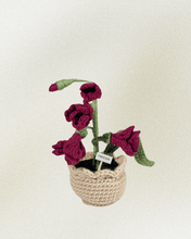Load image into Gallery viewer, Forever Crochet Flower Pot - Devine FlameFFP - 5
