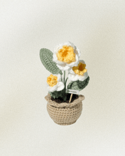 Load image into Gallery viewer, Forever Crochet Flower Pot - Devine FlameFFP - 23

