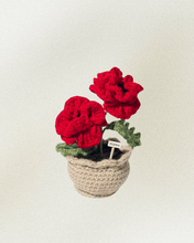 Load image into Gallery viewer, Forever Crochet Flower Pot - Devine FlameFFP - 10
