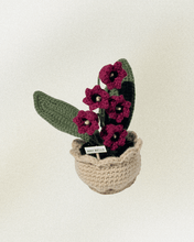 Load image into Gallery viewer, Forever Crochet Flower Pot - Devine FlameFFP - 21
