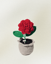 Load image into Gallery viewer, Forever Crochet Flower Pot - Devine FlameFFP - 12
