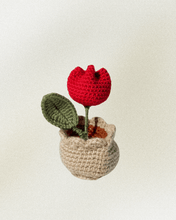 Load image into Gallery viewer, Forever Crochet Flower Pot - Devine FlameFFP - 17
