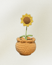 Load image into Gallery viewer, Forever Crochet Flower Pot - Devine FlameFFP - 13
