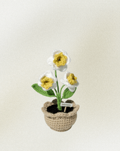 Load image into Gallery viewer, Forever Crochet Flower Pot - Devine FlameFFP - 1
