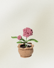 Load image into Gallery viewer, Forever Crochet Flower Pot - Devine FlameFFP - 22
