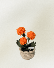 Load image into Gallery viewer, Forever Crochet Flower Pot - Devine FlameFFP - 8
