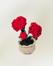 Load image into Gallery viewer, Forever Crochet Flower Pot - Devine FlameFFP - 14
