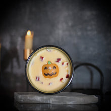 Load image into Gallery viewer, Pumpkin Patch - Pumpkin + Spice - Devine FlameHALLPP
